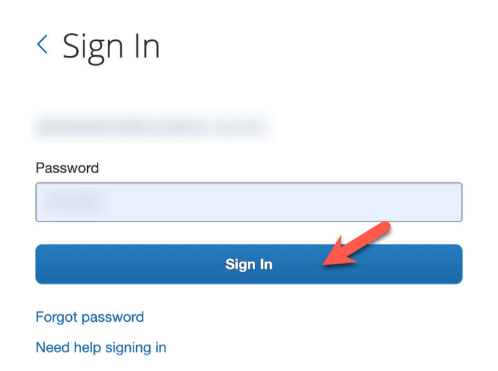 Sign in window where you add password.